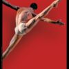 Affiche générique Malandain Ballet - 2