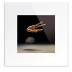 L’Après-midi d’un faune