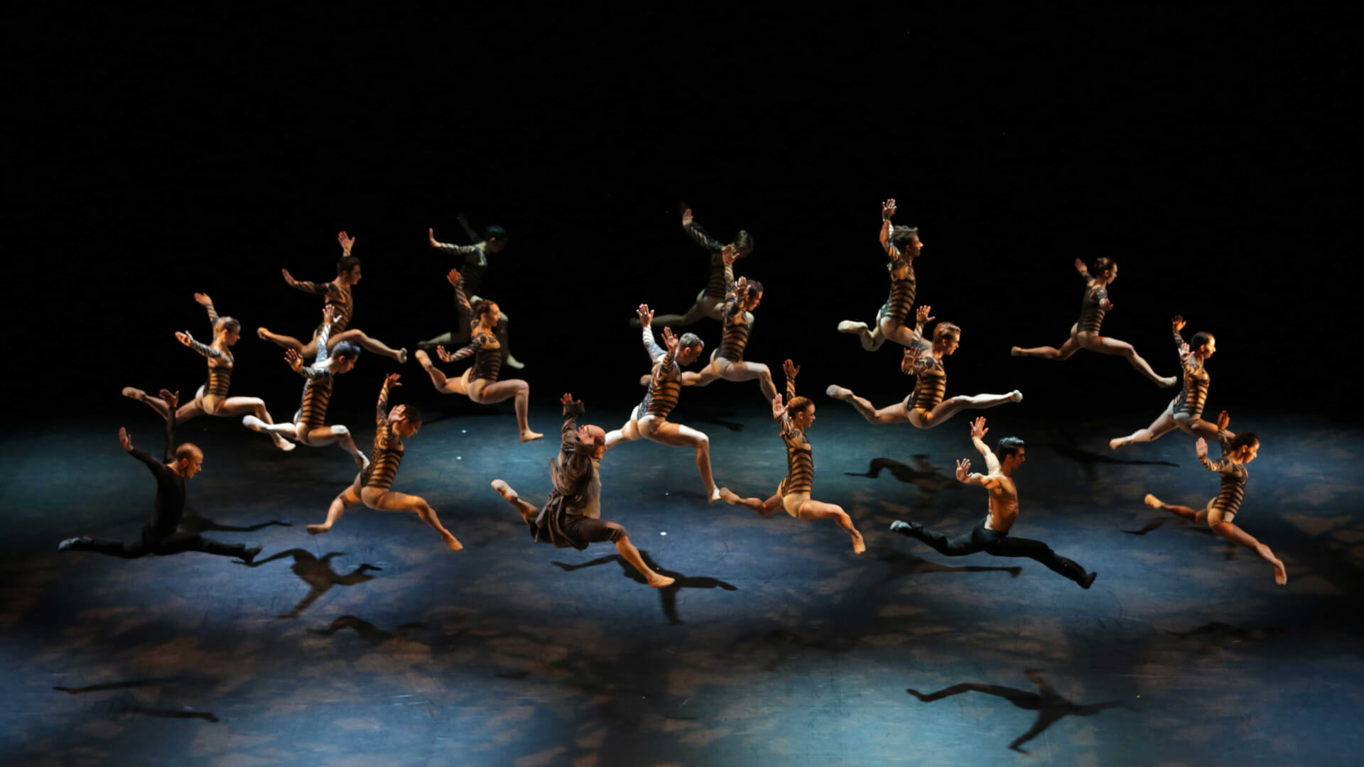 La Belle et la Bête - Malandain Ballet Biarritz